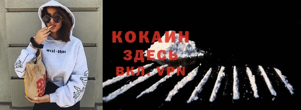 прущие крисы Абаза