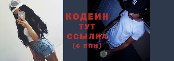 прущие крисы Абаза