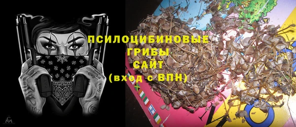 прущие крисы Абаза