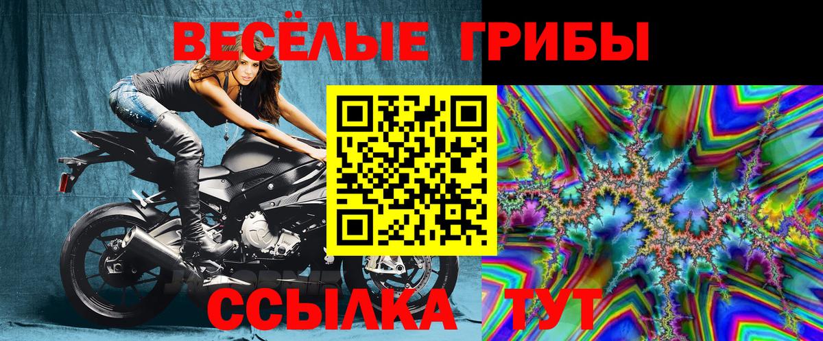 Галлюциногенные грибы Cubensis  Псилоцибиновые грибы GOLDEN TEACHER  Вход с VPN  Заволжье 